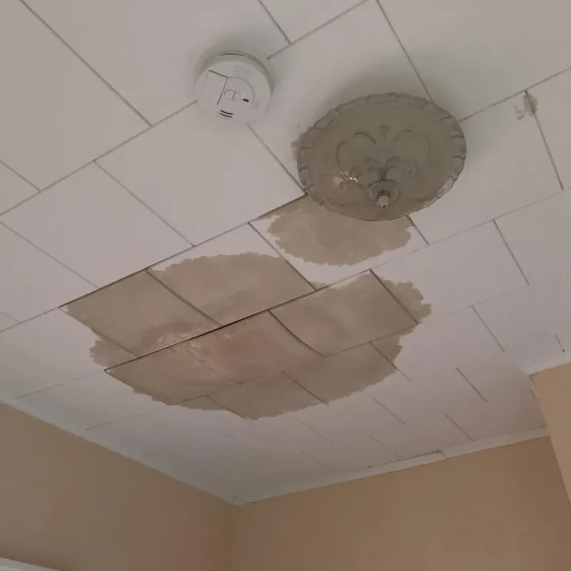 Ceiling Water Damage Repair in Labette County, KS