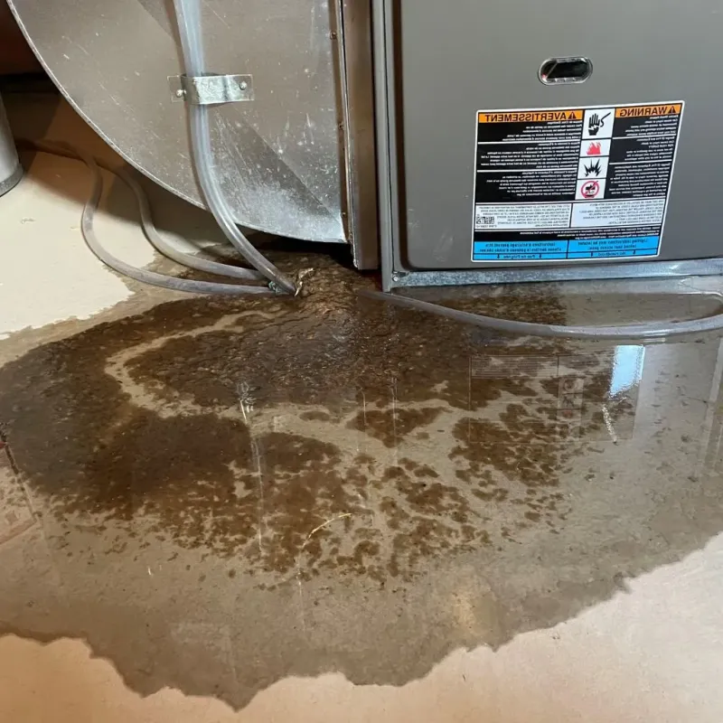 Pipe Burst and Leak Restoration in Labette County, KS