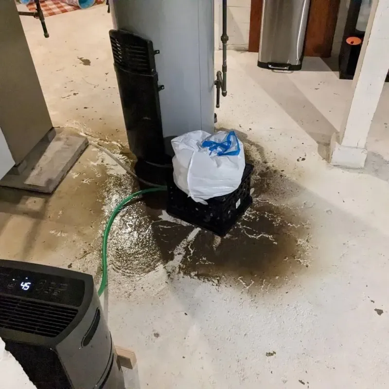 Sewage Backup Cleanup Service in Labette County, KS